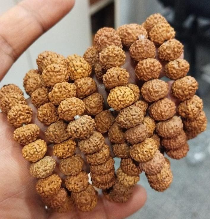 7 Mukhi Rudraksha Bracelet for Men