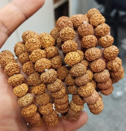 7 Mukhi Rudraksha Bracelet for Men