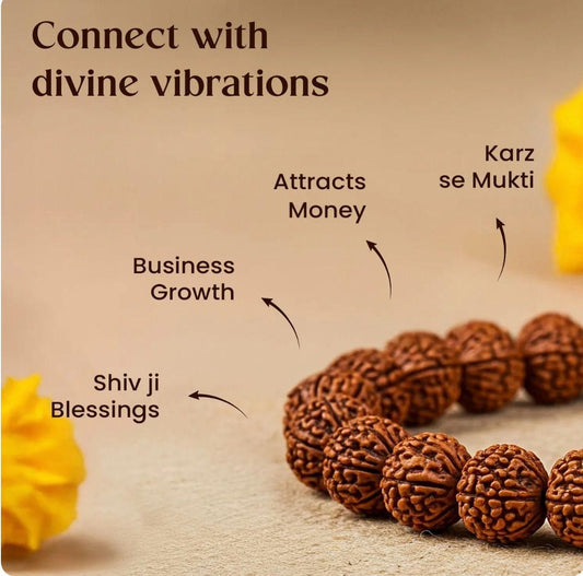 7 Mukhi Rudraksha Bracelet for Men